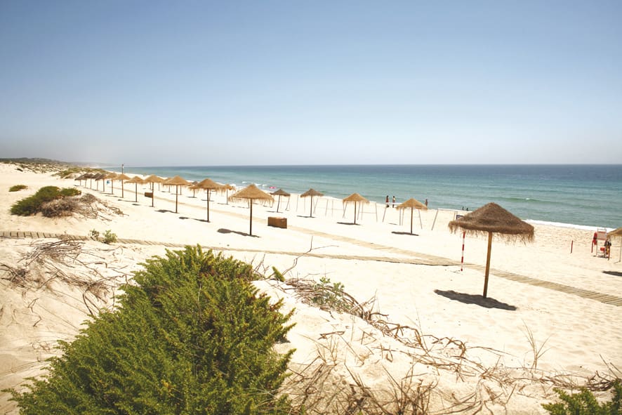 Praia limpa e tranquila com chapéus de palha alinhados na areia, junto ao mar, ilustrando o conceito de praias 'Zero Poluição' em Portugal.