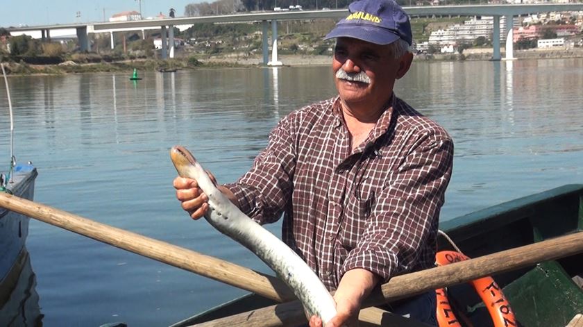 Homem num barco segura uma lampreia fresca, com o rio e uma ponte ao fundo, ilustrando a pesca tradicional da lampreia do Rio Minho em Valença.